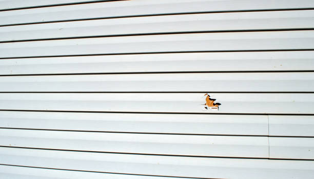 Best Siding Removal and Disposal  in Moorpark, CA